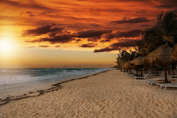 Palapa umbrellas on the beach under an orange sunset